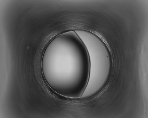 X0000086730481200704130749