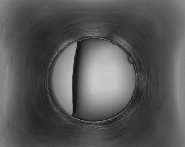 X0000086730482200704130749