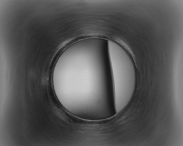 X0000086730483200704130749