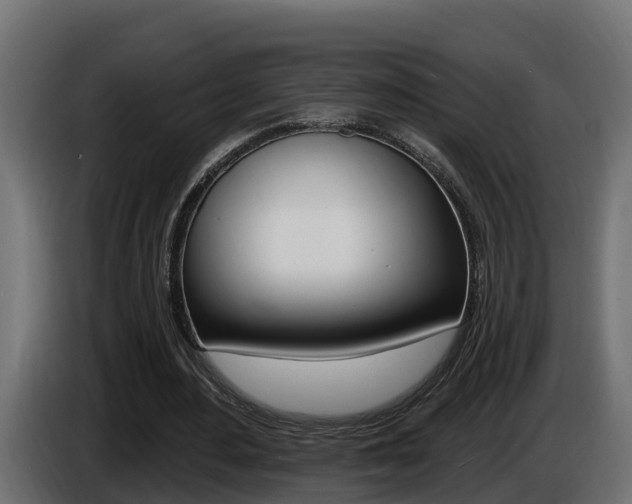 X0000086730484200704130749