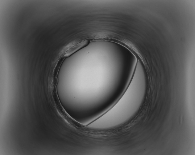 X0000086730485200704130749