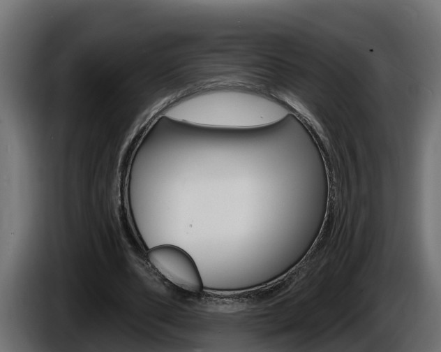 X0000086730486200704130749
