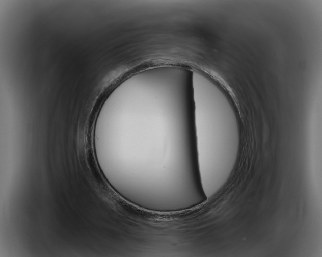 X0000086730487200704130749