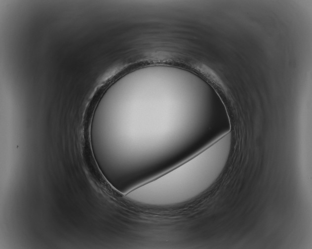 X0000086730488200704130749