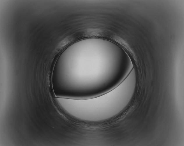X0000086730489200704130749