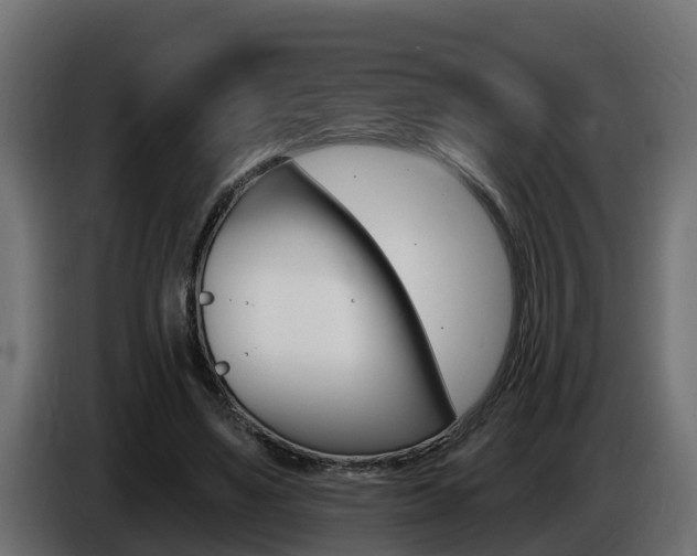 X0000086730491200704130749