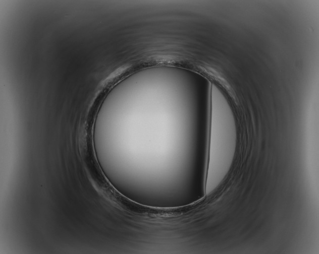 X0000086730492200704130749