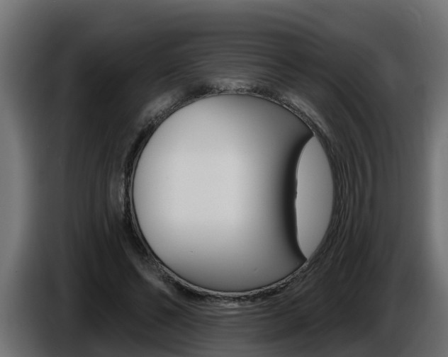 X0000086730494200704130749