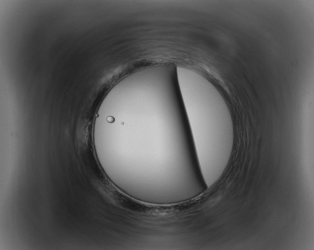 X0000086730495200704130749