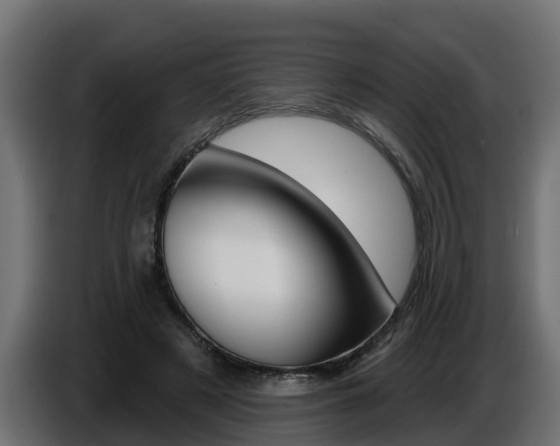 X0000086730497200704130749