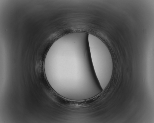 X0000086730498200704130749