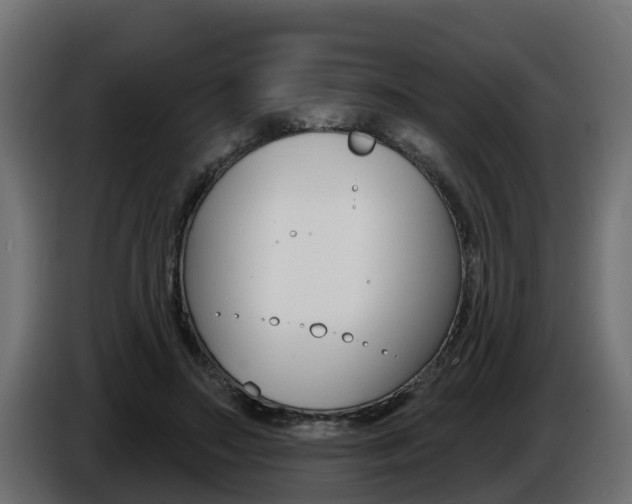 X0000086730499200704130749