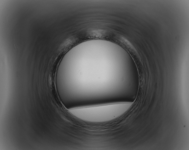 X0000086730500200704130749