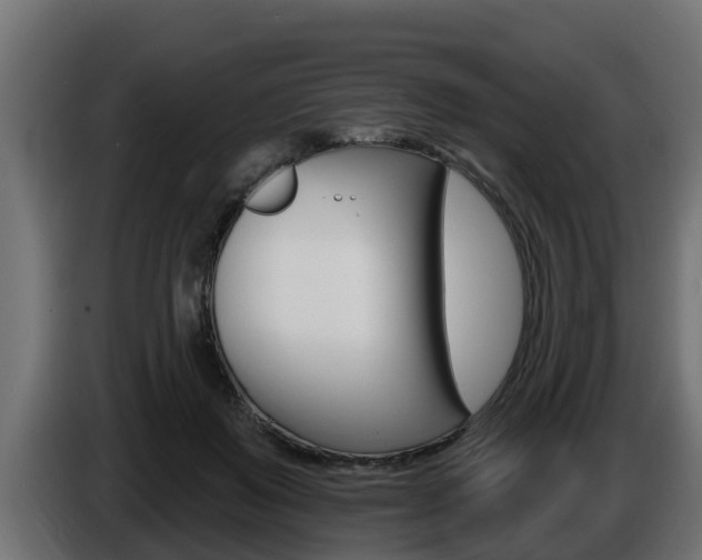 X0000086730503200704130749