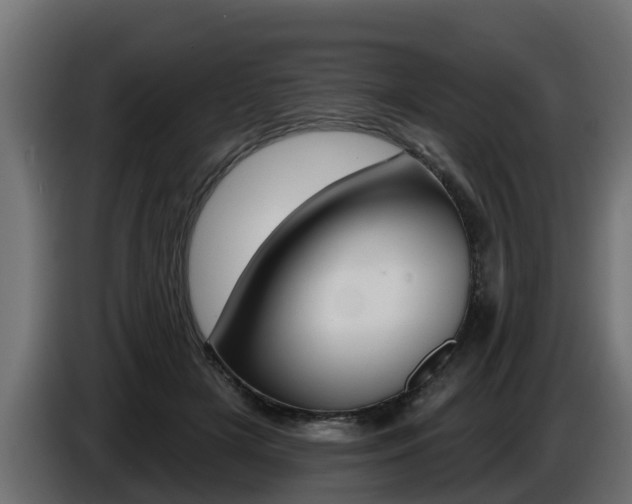 X0000086730505200704130749
