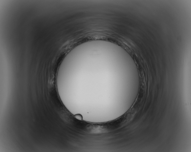 X0000086730507200704130749