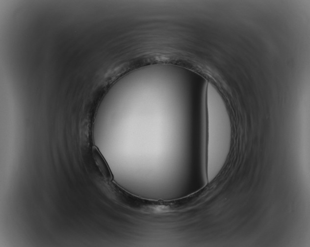 X0000086730509200704130749