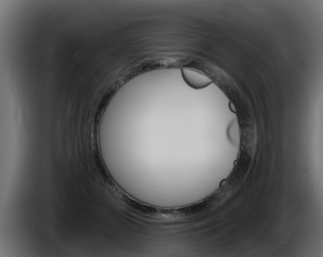 X0000086730510200704130749