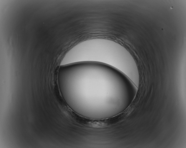 X0000086730512200704130749