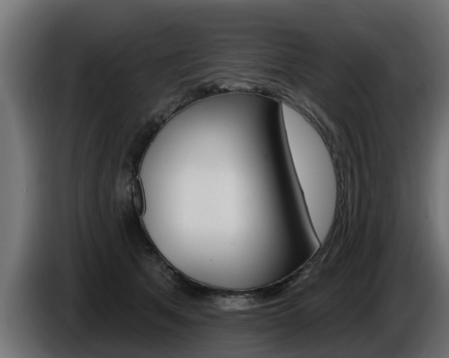 X0000086730513200704130749