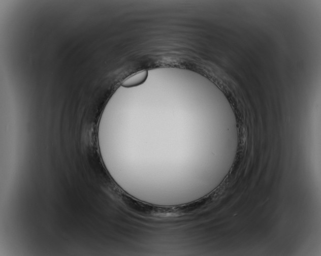X0000086730514200704130749