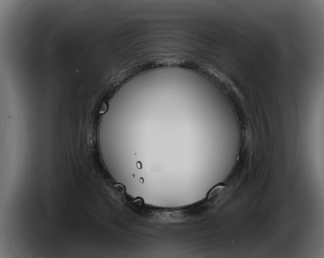 X0000086730517200704130749