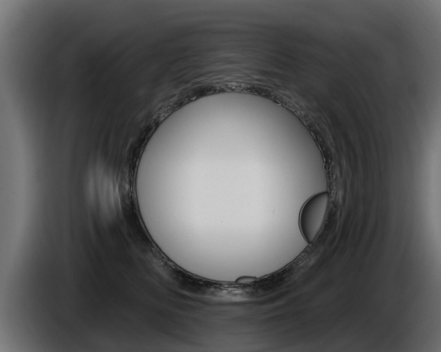 X0000086730518200704130749