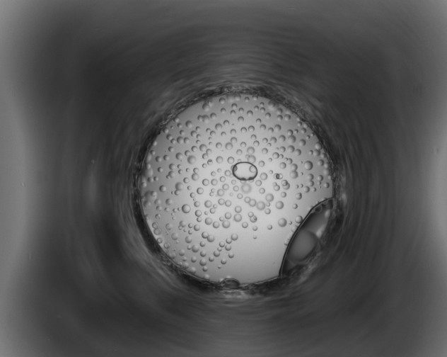 X0000086730519200704130749