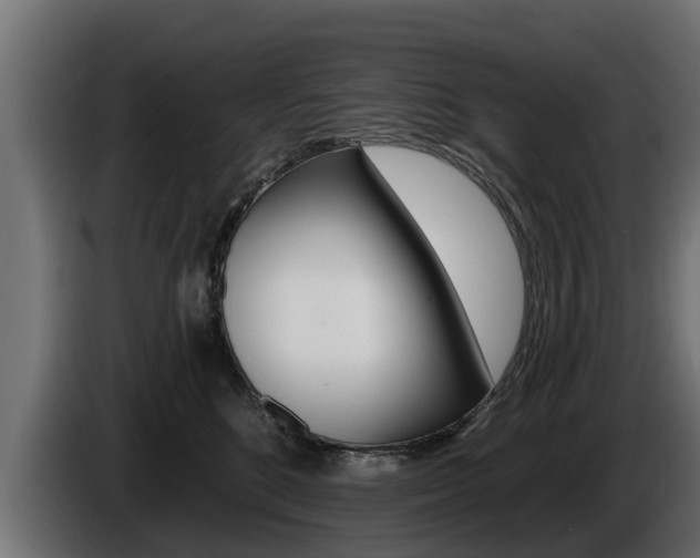 X0000086730520200704130749