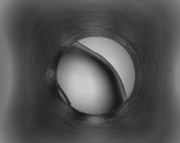 X0000086730521200704130749