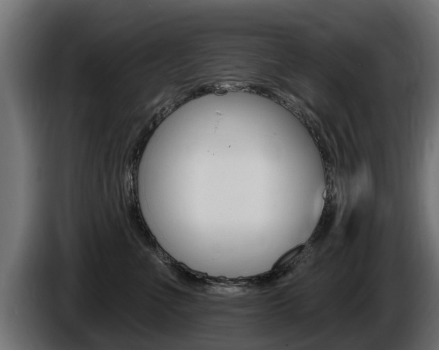 X0000086730523200704130749