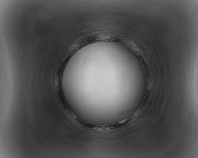 X0000086730524200704130749