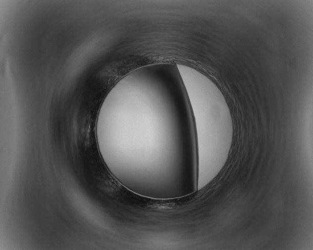 X0000086730525200704130749