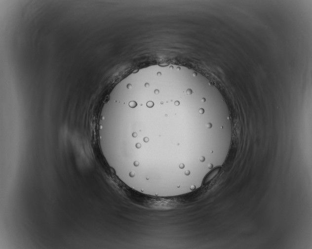 X0000086730527200704130749
