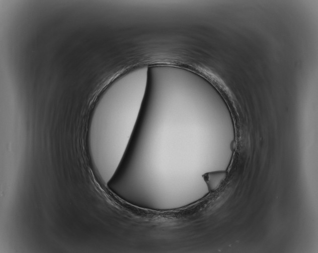 X0000086730529200704130748
