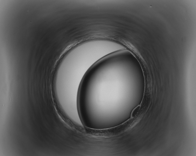 X0000086730530200704130748