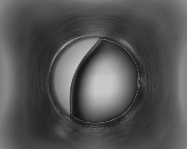 X0000086730532200704130748
