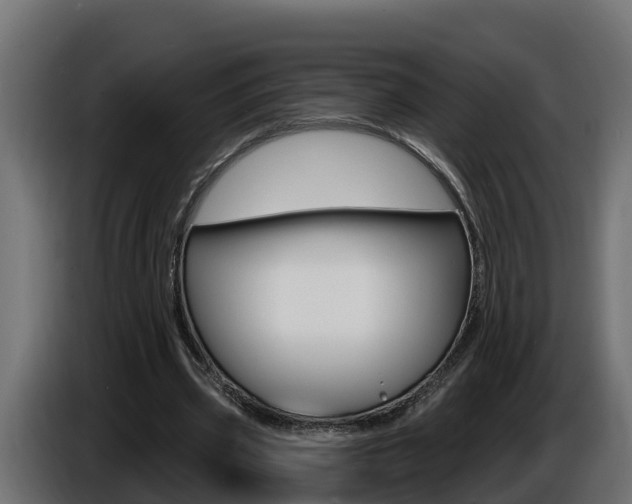 X0000086730533200704130748