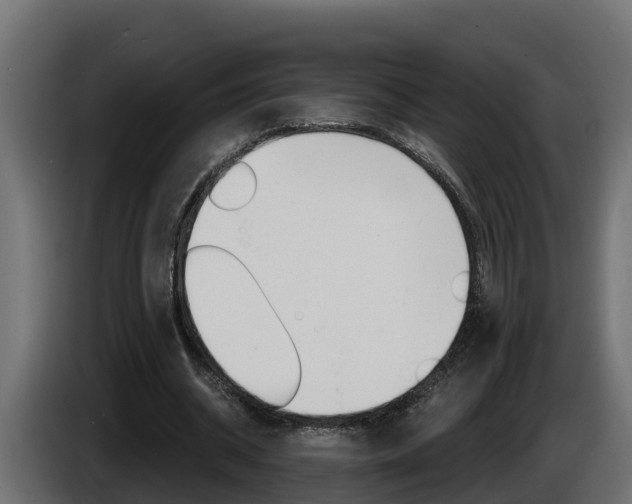 X0000086730534200704130748