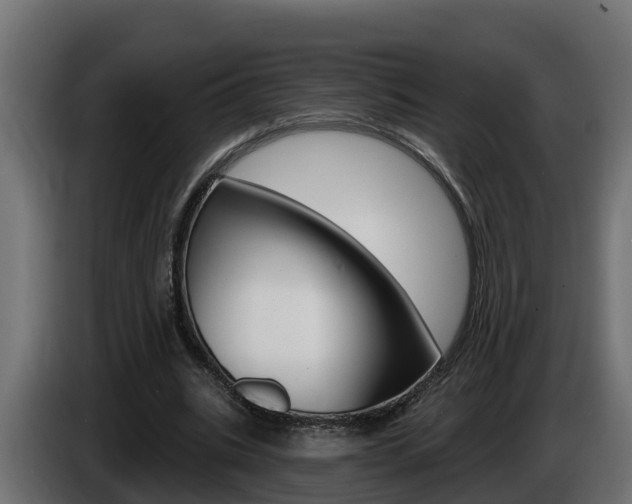 X0000086730535200704130748