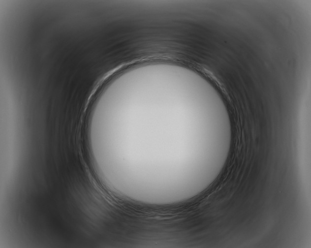 X0000086730536200704130748