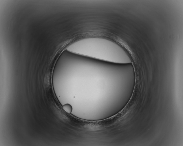 X0000086730537200704130748