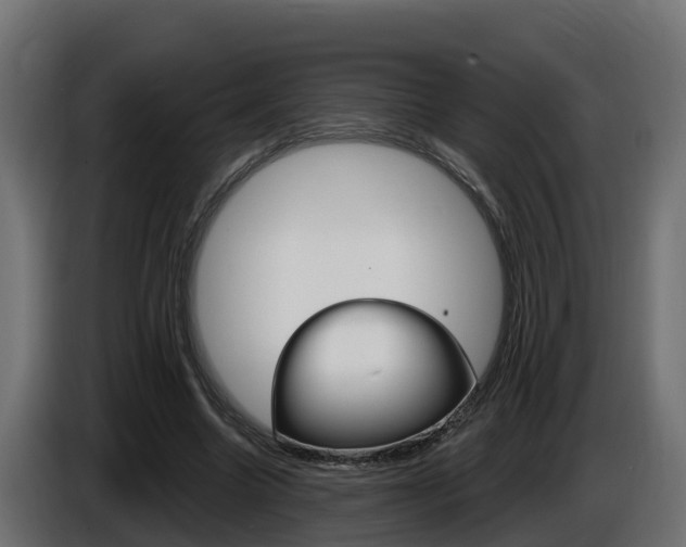 X0000086730538200704130748