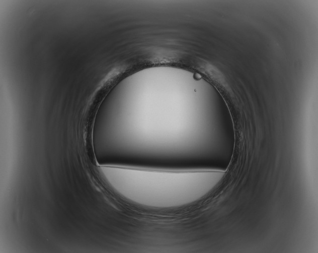 X0000086730539200704130748