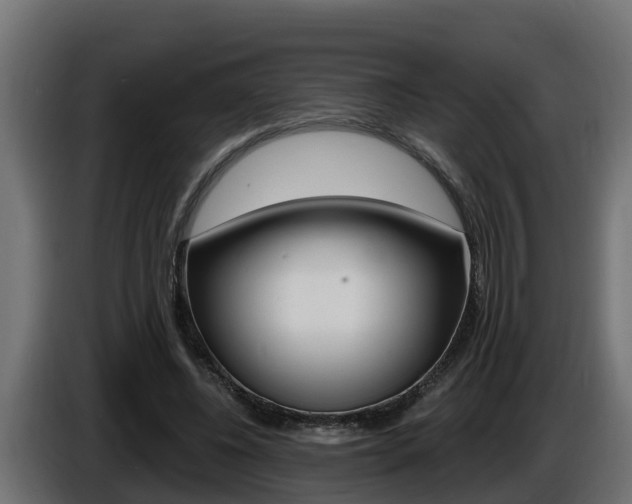 X0000086730540200704130748