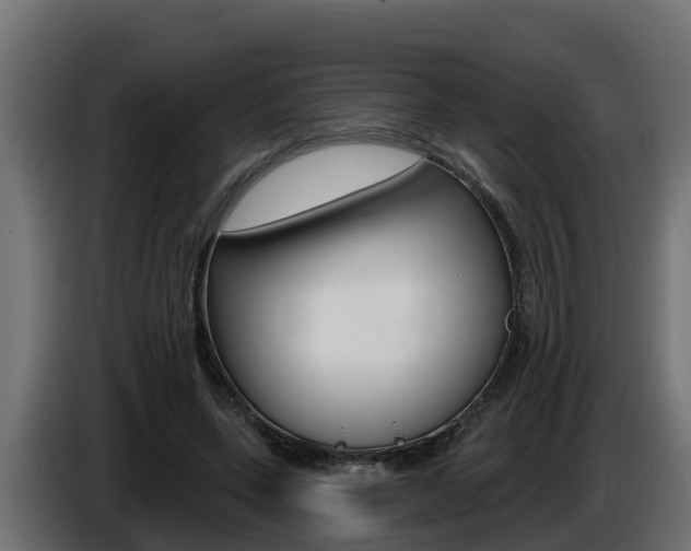 X0000086730543200704130748