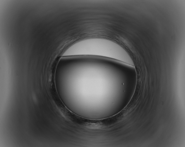 X0000086730548200704130748