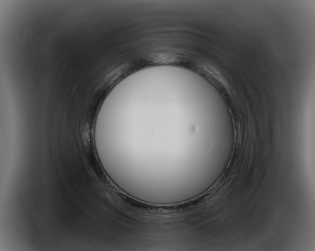 X0000086730549200704130748