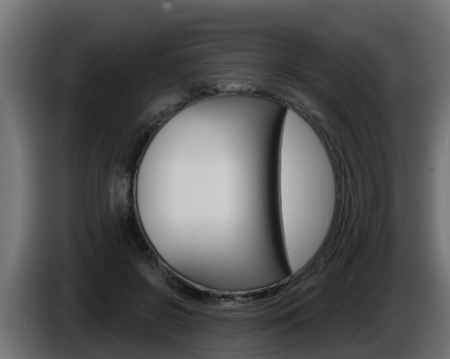 X0000086730550200704130748