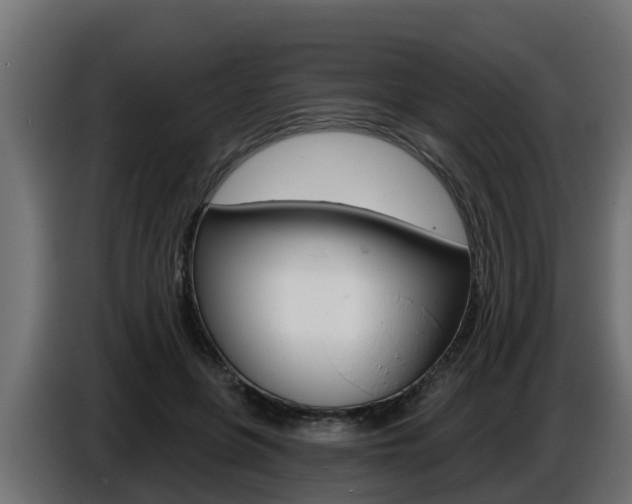 X0000086730551200704130748